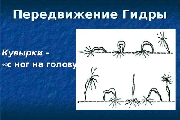 Зайти на сайт кракен
