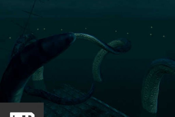 Kraken whitenet ссылка тор