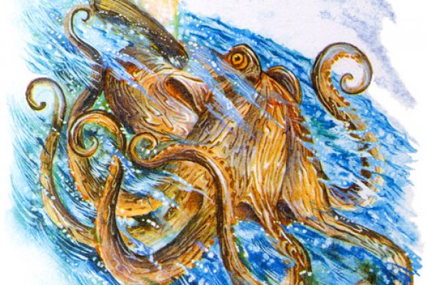 Kraken istand onion
