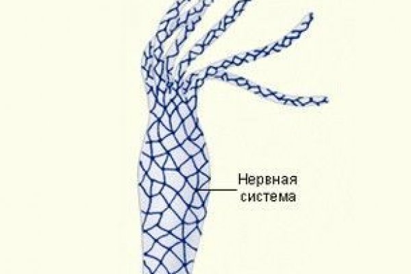 Kra41.cc Вход на сайт главная страница