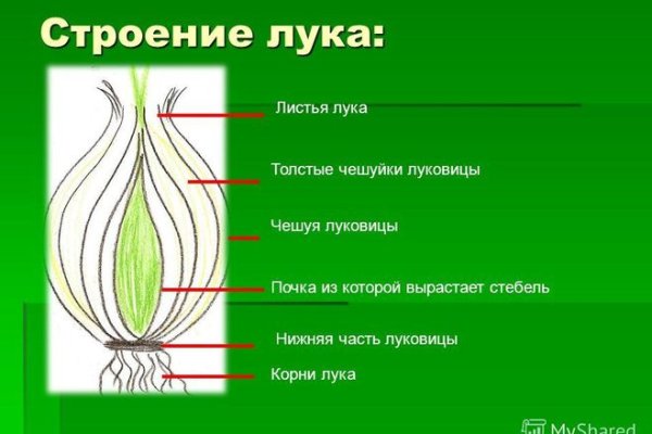 Какой нужен тор чтоб зайти в кракен