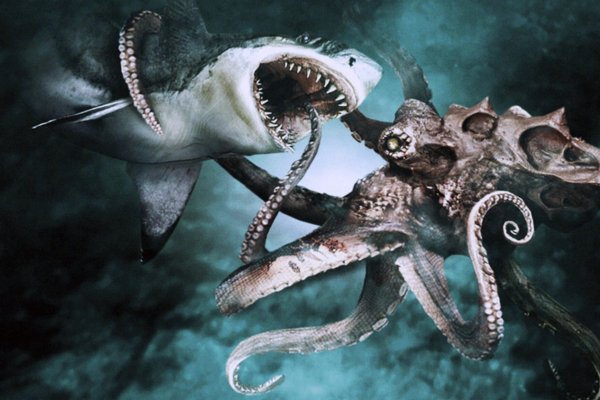 Kraken 25at