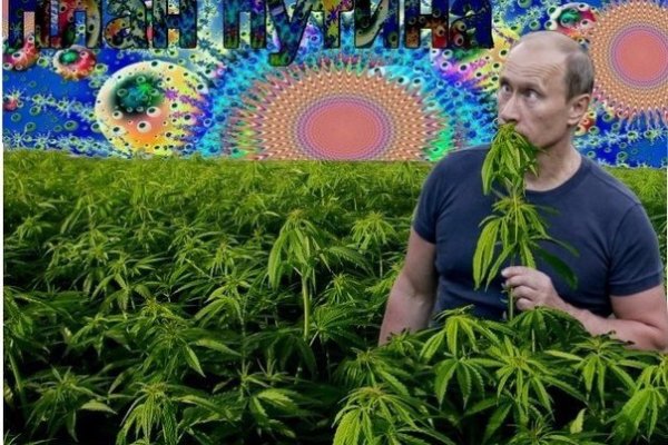 Кракен актуальное зеркало