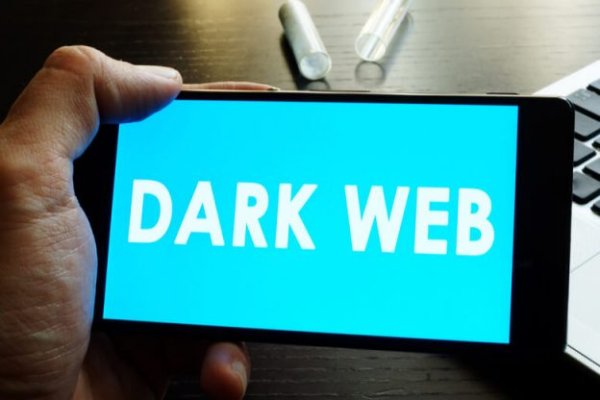 Whitenet как войти