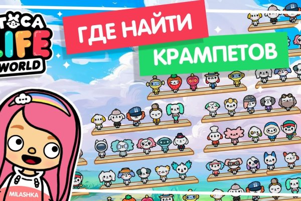 Не могу зайти на кракен