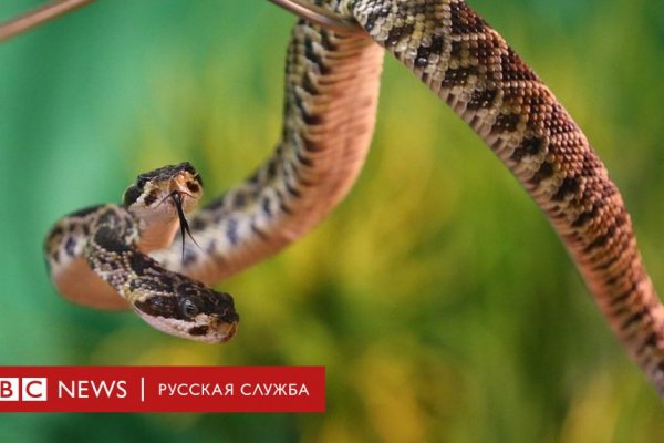 Запрещенный сайт кракен
